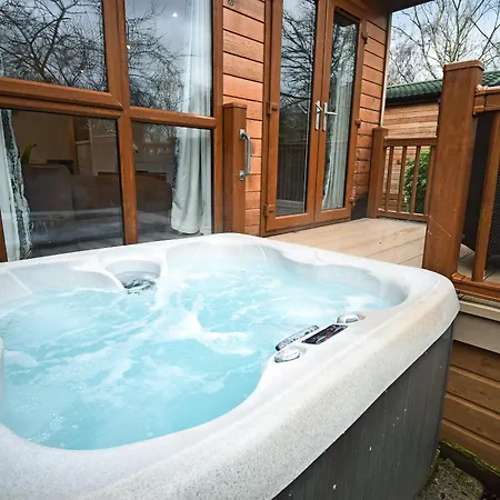 Bluebird 2 - Uk50932 High Nibthwaite