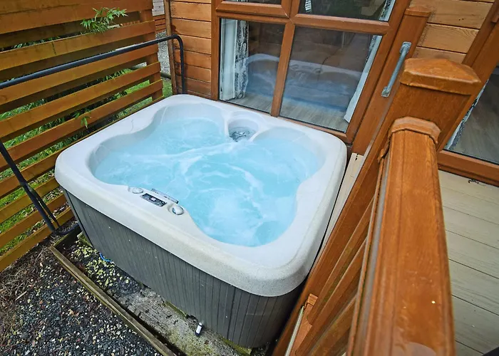 Bluebird 2 - Uk50932 High Nibthwaite